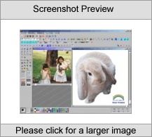 the multiple windows functions for editing,printing picturemorez is the software